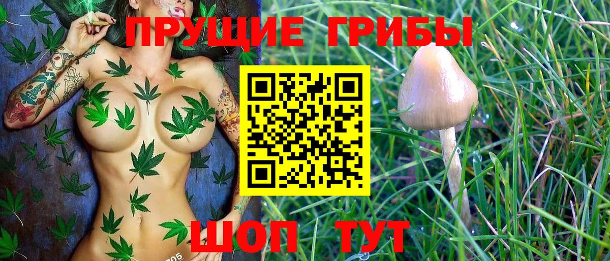 Галлюциногенные грибы Psilocybe Симферополь