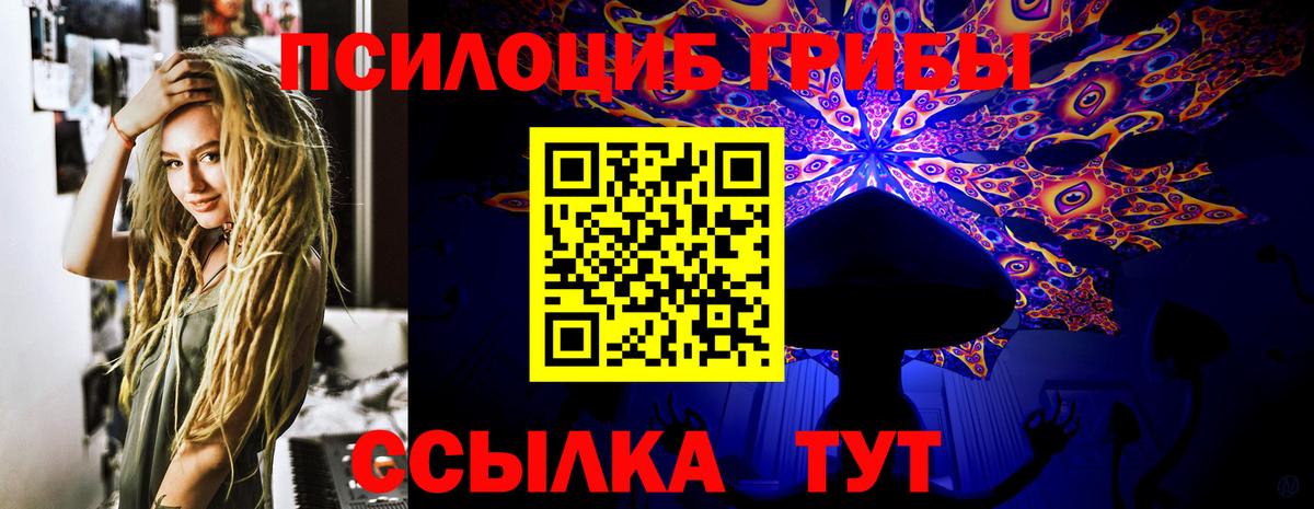 Псилоцибиновые грибы Psilocybe  Галлюциногенные грибы мицелий  Вход с VPN  Симферополь 
